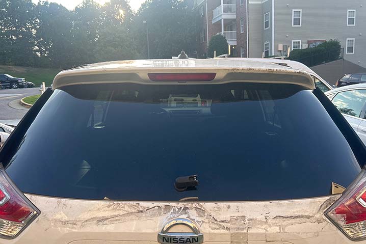 rear window Ann Arbor MI