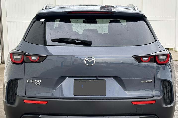 windshield repair Bon Air VA