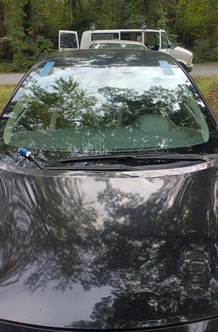 windshield replacement Sammamish WA