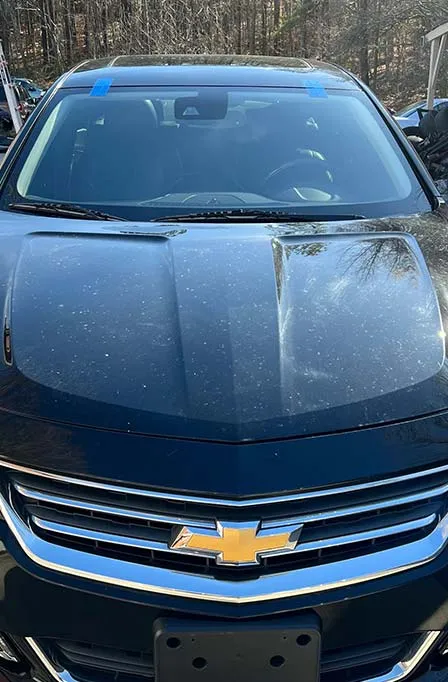 windshield replacement Lafayette CO